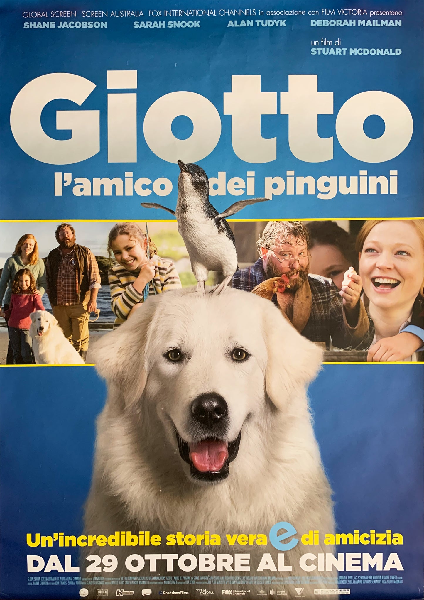 Manifesto Giotto l'amico dei pinguini 2015 originale